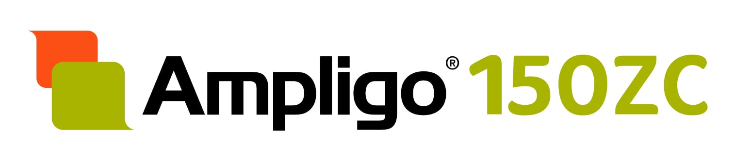 Ampligo