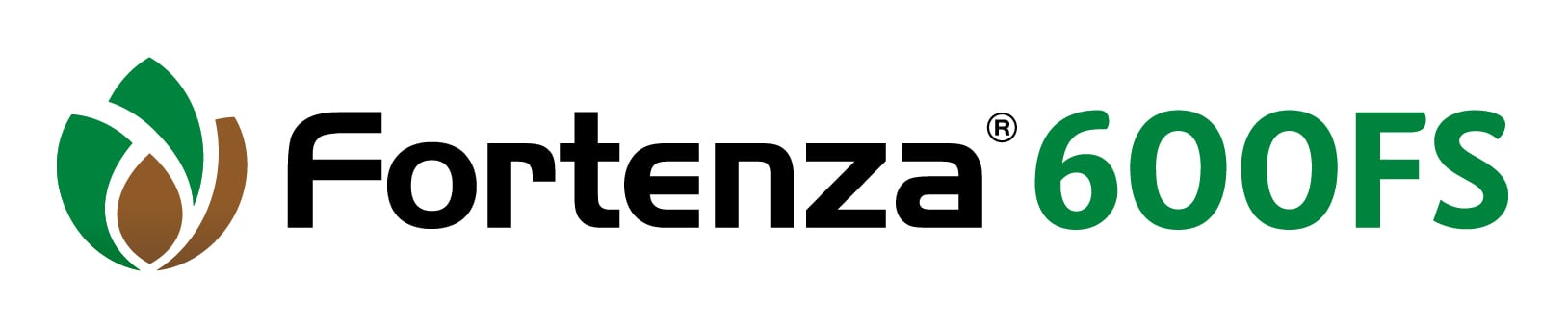 Fortenza