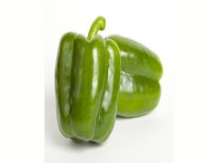 Balta - Variety Pepper | Syngenta