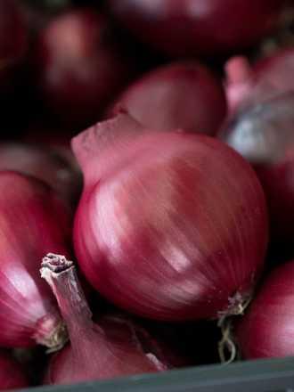 onion