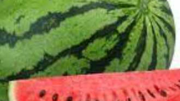 melon