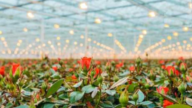 sps-our-farms_460x260.jpg