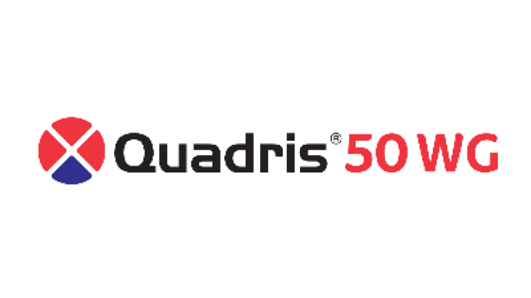 Quadris 50 WG Syngenta