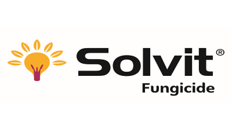 Solvit